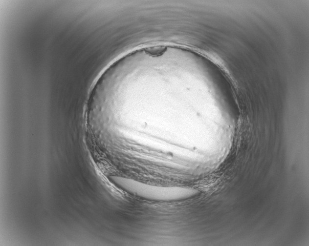 X0000067871524200605041754