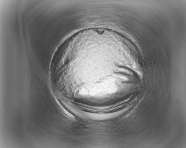 X0000067871525200605041754