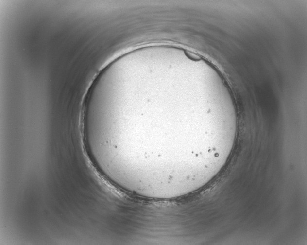 X0000067871526200605041754