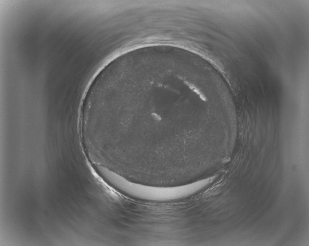 X0000067871527200605041754