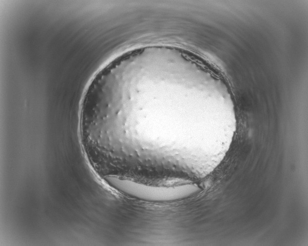 X0000067871528200605041754