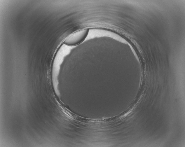 X0000067871529200605041754