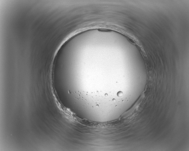 X0000067871530200605041754