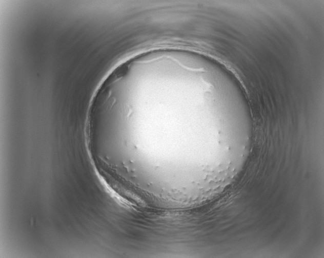 X0000067871531200605041754