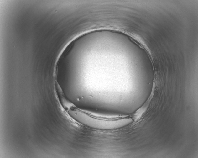 X0000067871532200605041754