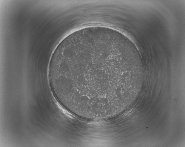 X0000067871535200605041754