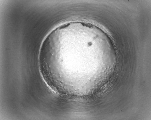 X0000067871536200605041754