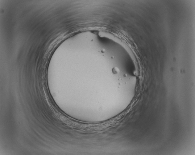 X0000067870001200605111811