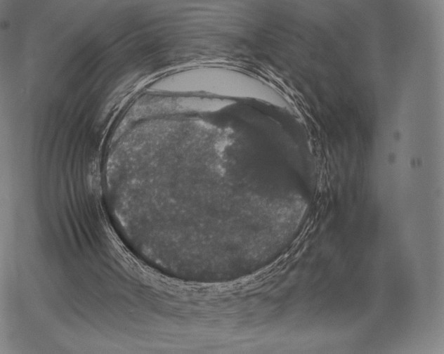 X0000067870002200605111811