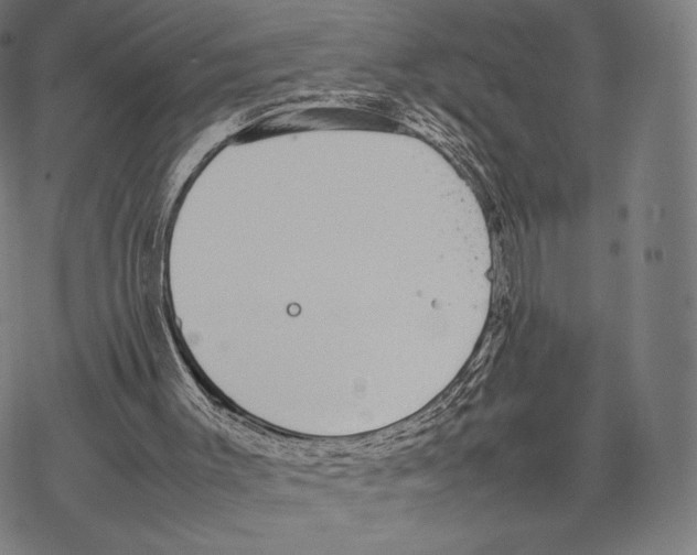 X0000067870003200605111811