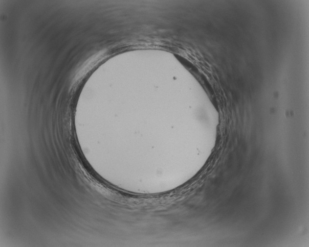 X0000067870005200605111811