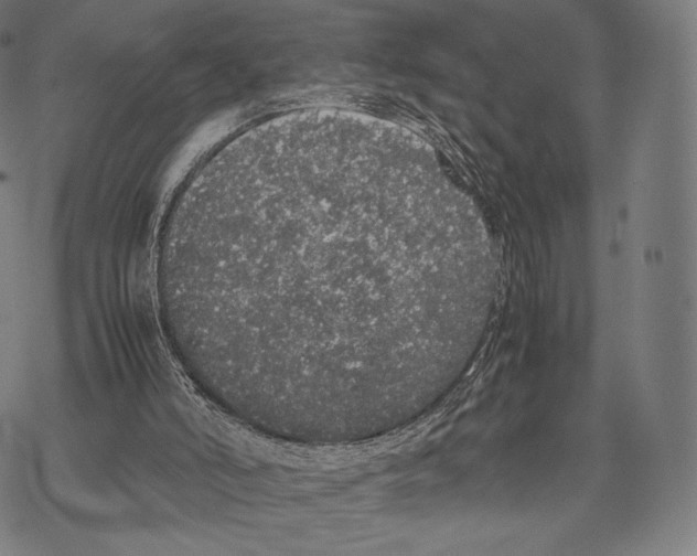 X0000067870006200605111811