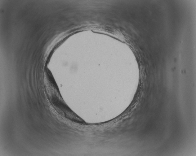 X0000067870007200605111811