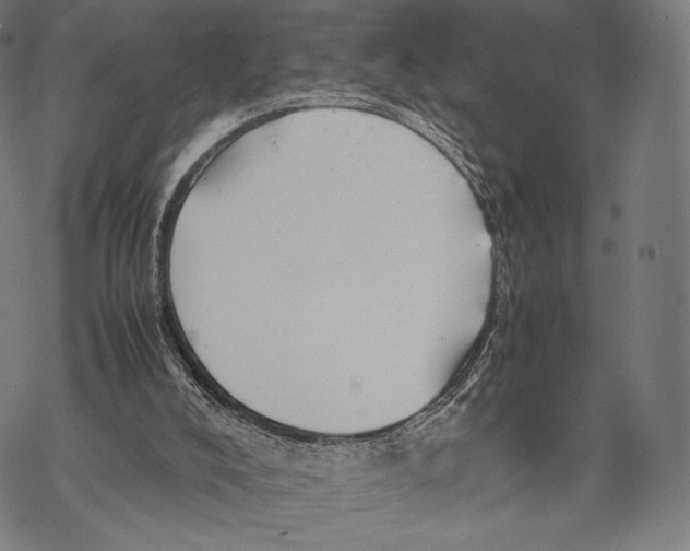 X0000067870008200605111811