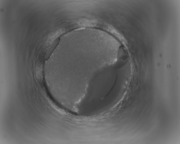 X0000067870009200605111811