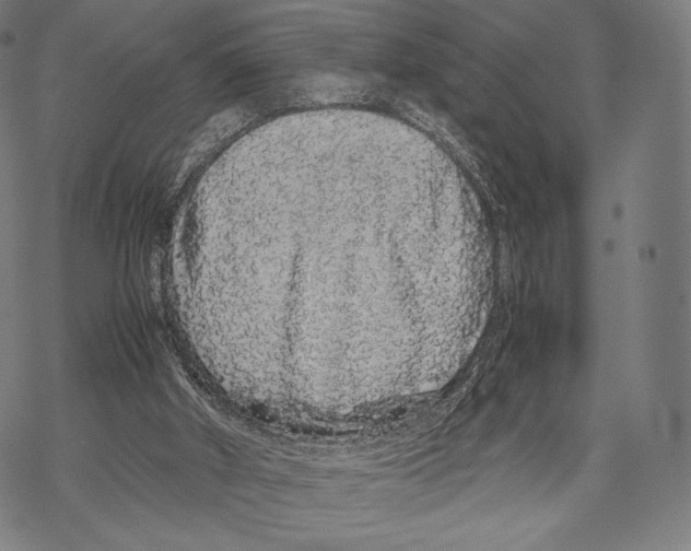 X0000067870010200605111811