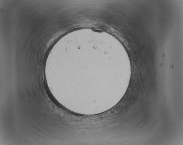 X0000067870011200605111811