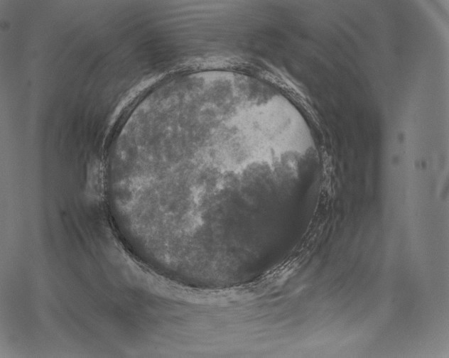 X0000067870012200605111811