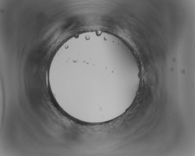 X0000067870013200605111811