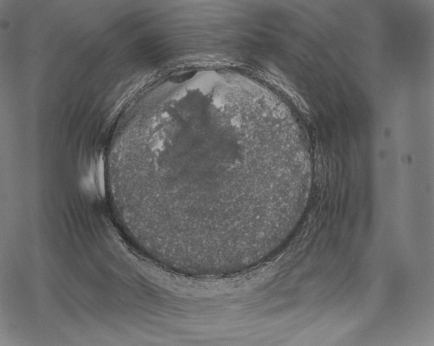 X0000067870014200605111811