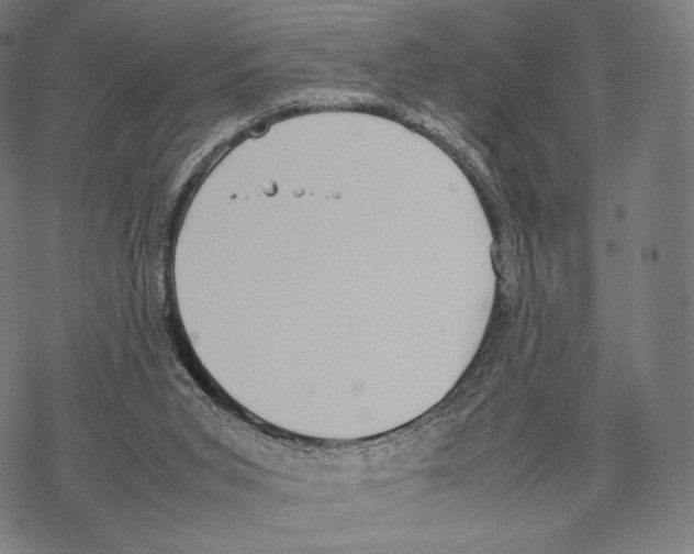 X0000067870015200605111811