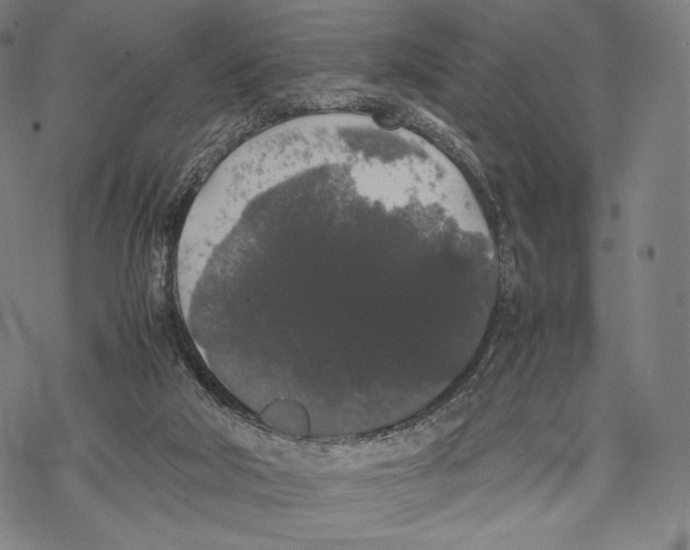 X0000067870018200605111811