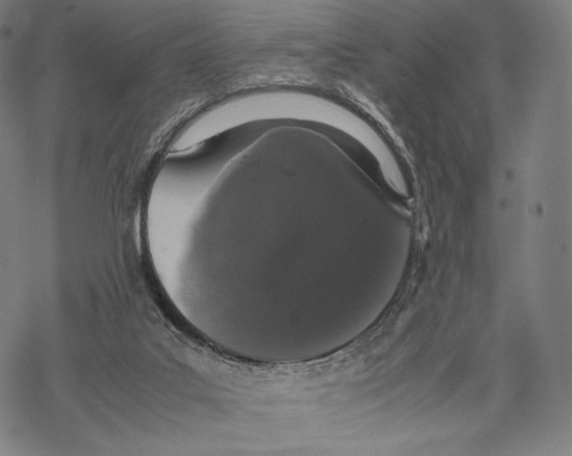 X0000067870019200605111811