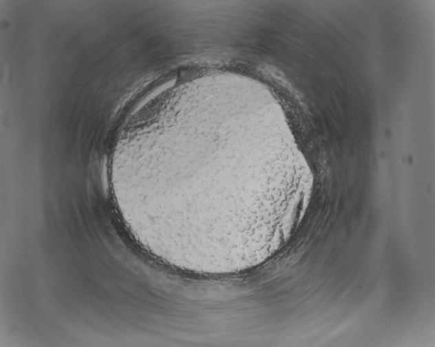 X0000067870020200605111811