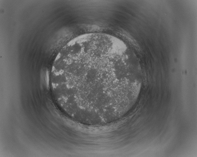 X0000067870022200605111811