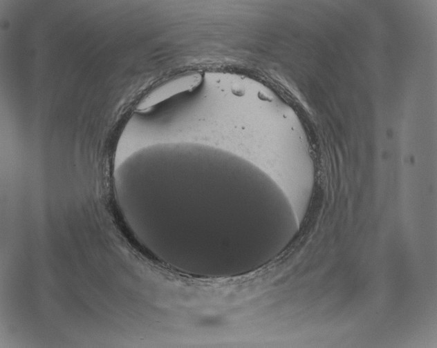 X0000067870023200605111811