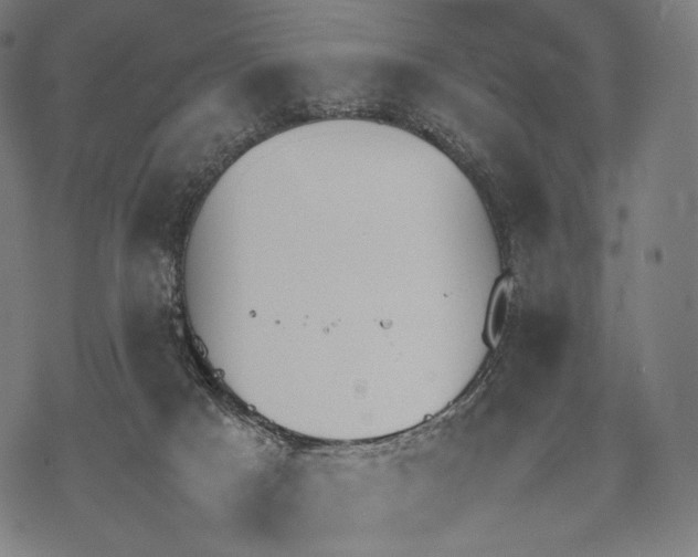 X0000067870025200605111811