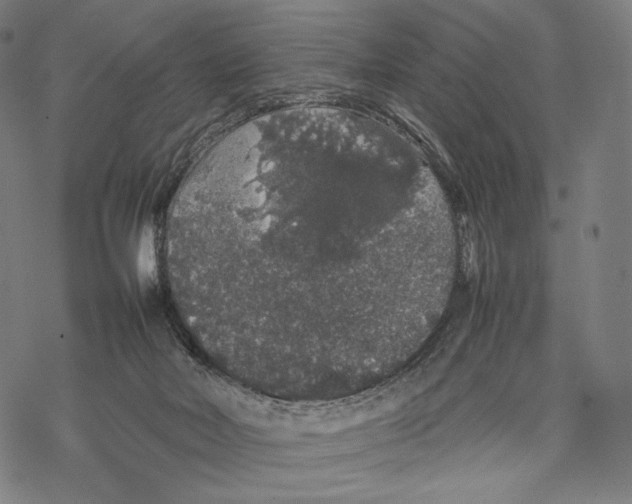 X0000067870026200605111811