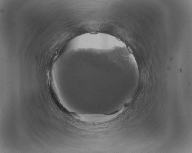 X0000067870027200605111811