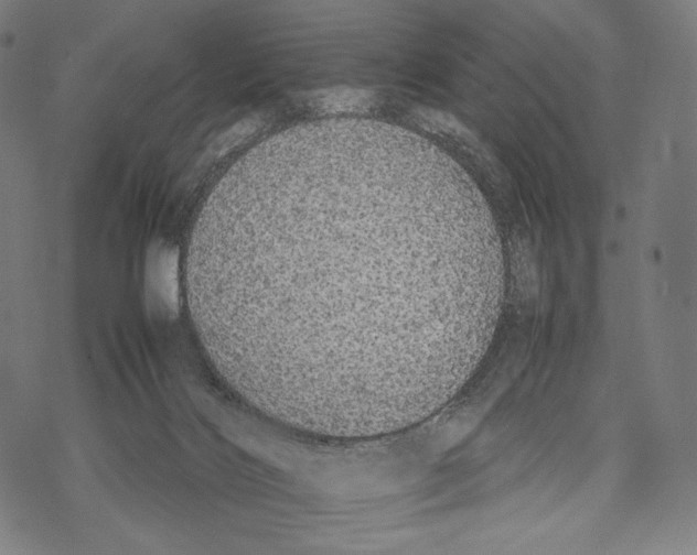 X0000067870028200605111811