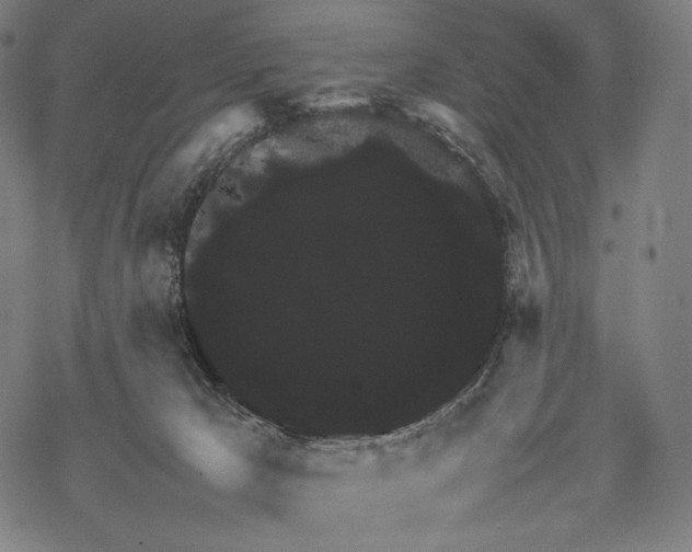 X0000067870029200605111811