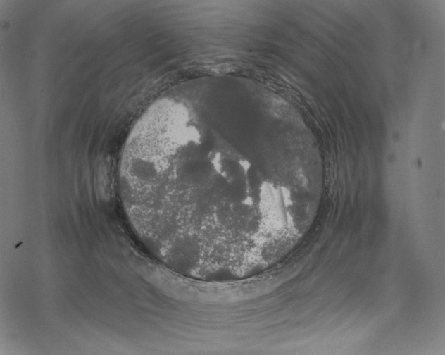 X0000067870030200605111811