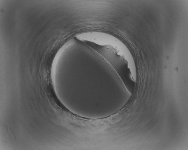 X0000067870031200605111811