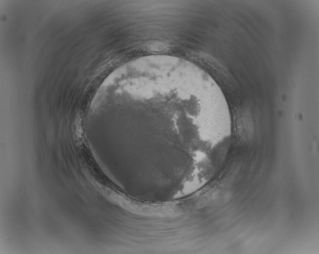 X0000067870032200605111811