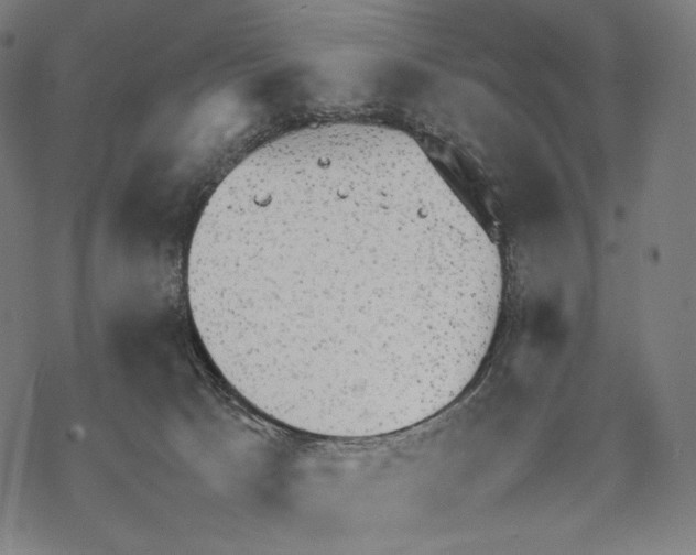 X0000067870033200605111811