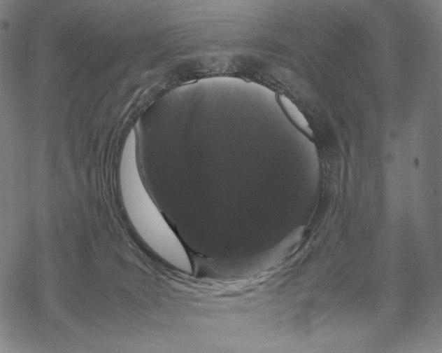 X0000067870035200605111811