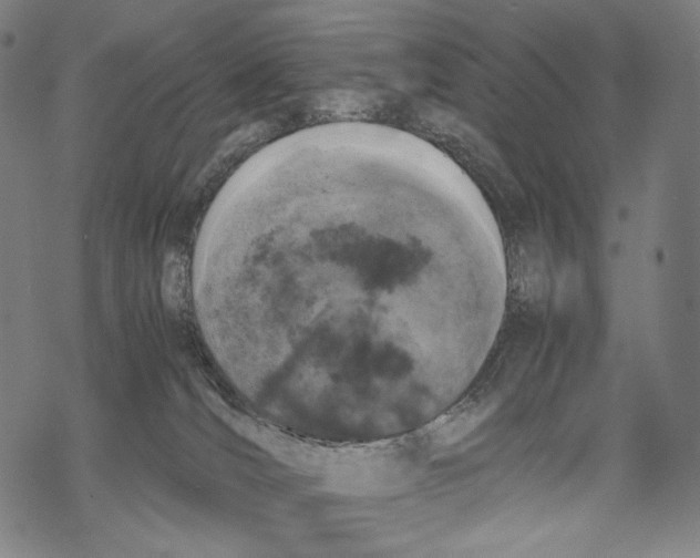 X0000067870036200605111811