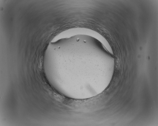 X0000067870037200605111811