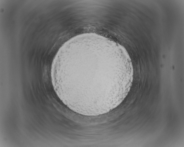 X0000067870038200605111811