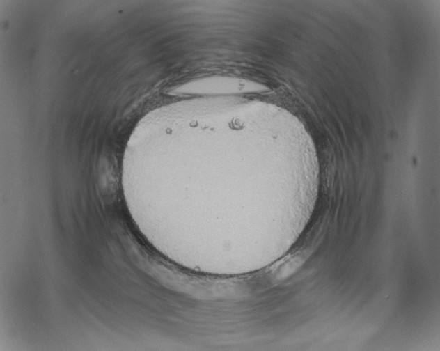 X0000067870040200605111811