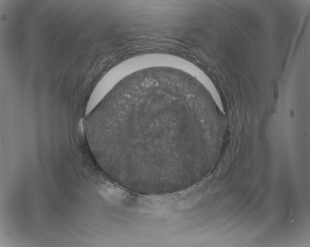 X0000067870041200605111811