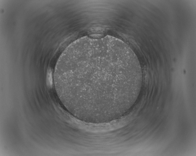 X0000067870042200605111811