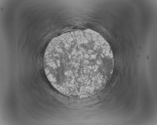 X0000067870043200605111810