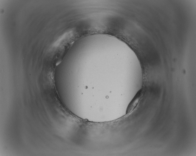 X0000067870045200605111810