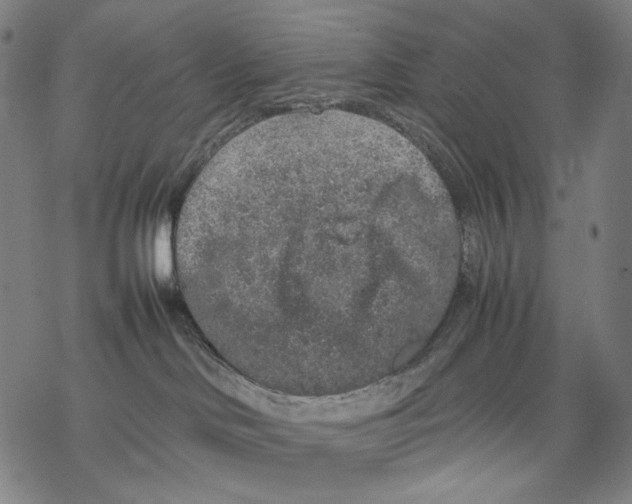 X0000067870046200605111810