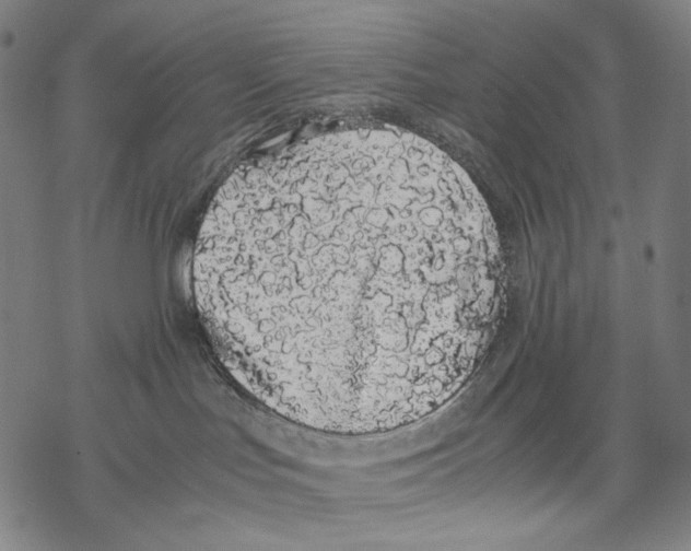 X0000067870047200605111810